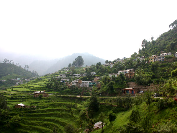 কৌশানি