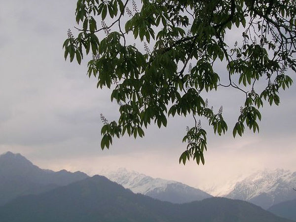 পিথোরাগড়