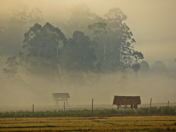 বন্দিপুর