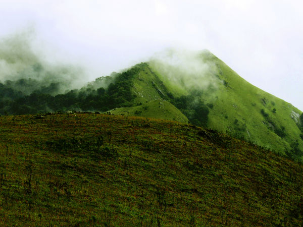 কুর্গ