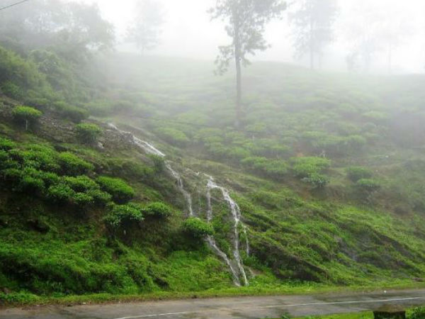 পীরমেড়ে