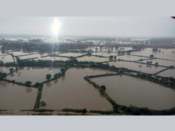 অসমে বন্যা