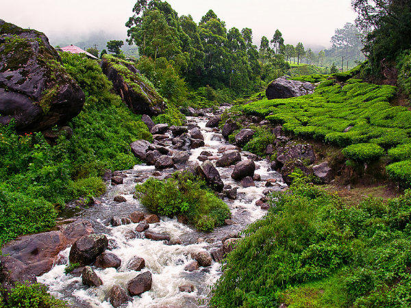 মুন্নার