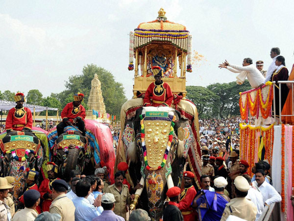 হাতির বিমা যোজনা! মাইসোরে 'দশেরা হাতি'-র দল এল বিমার আওতায়! হাতির বিমা যোজনা! মাইসোরে 'দশেরা হাতি'-র দল এল বিমার আওতায়!
