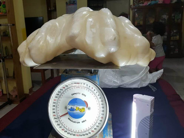 বিশ্বের সবচেয়ে বড় মুক্তোর সন্ধান মিলল ফিলিপিন্সে বিশ্বের সবচেয়ে বড় মুক্তোর সন্ধান মিলল ফিলিপিন্সে