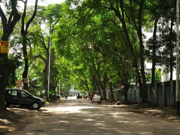 নিউটাউনে গ্রেফতার ৭ সশস্ত্র দুষ্কৃতী