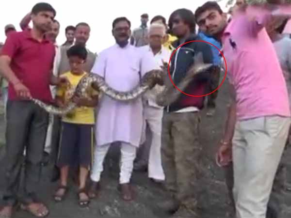 সেলফি তুলতে গিয়ে বিপত্তি, অজগরের কামড় খেলেন যুবক সেলফি তুলতে গিয়ে বিপত্তি, অজগরের কামড় খেলেন যুবক