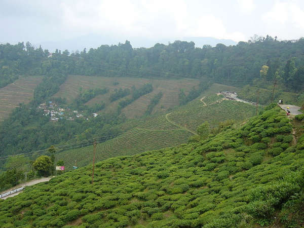 পুজোয় পাহাড় সফর