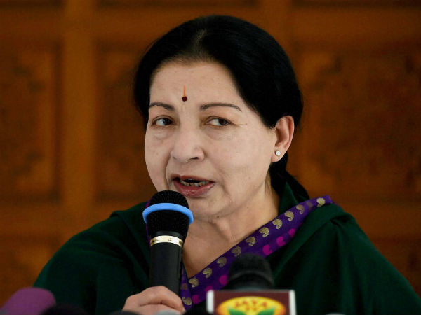 ৩ নভেম্বর