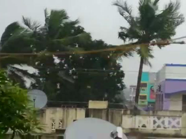সরকারি আবেদন