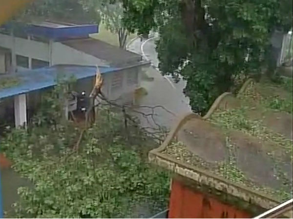 দুর্বল হবে ভরদা