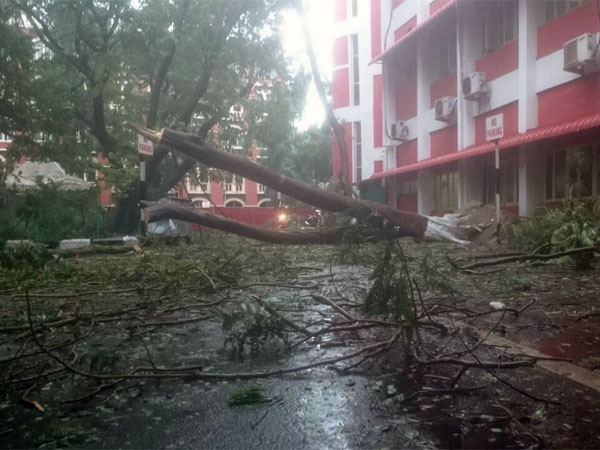 ভরদার বলি ১০