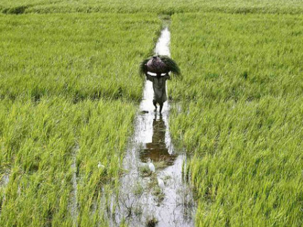 কৃষকদের জন্য