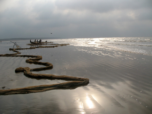 তালসারি সৈকত