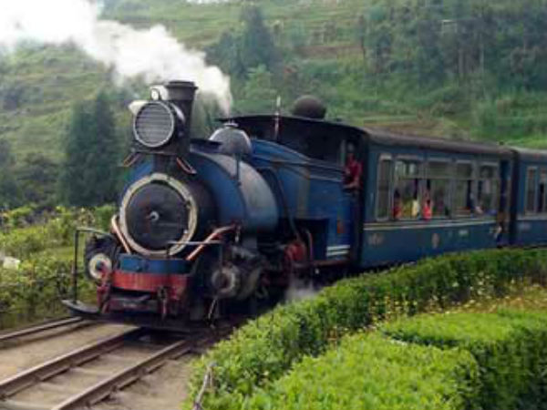 ধুঁকছে পর্যটন শিল্প