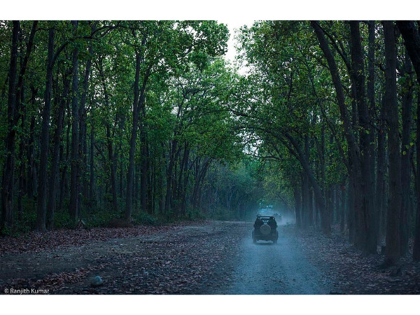 জিম করবেট ন্যাশনাল পার্ক