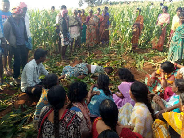 মাহুতকে আছড়ে ফেলে বুকে দাঁত বসিয়ে দিল কুনকি হাতি, জলদাপাড়ায় চাঞ্চল্য মাহুতকে আছড়ে ফেলে বুকে দাঁত বসিয়ে দিল কুনকি হাতি, জলদাপাড়ায় চাঞ্চল্য