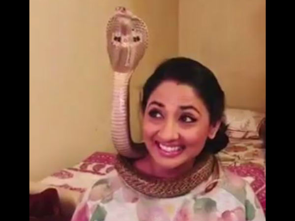 গোখরো সাপের সঙ্গে সেলফি তুলে গ্রেফতার জনপ্রিয় টিভি অভিনেত্রী গোখরো সাপের সঙ্গে সেলফি তুলে গ্রেফতার জনপ্রিয় টিভি অভিনেত্রী