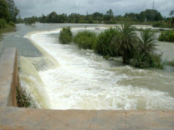 বিয়ার তৈরিতে লাগে প্রচুর জল