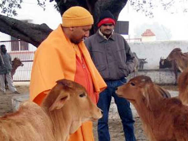 ব্যবস্থা নেওয়া শুরু