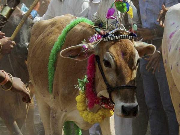 পুরসভা গুলির কী বক্তব্য?