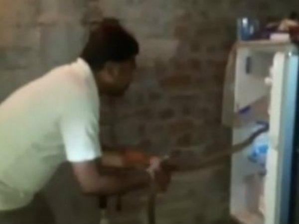 ডাক পড়ে সাঁপুড়ের