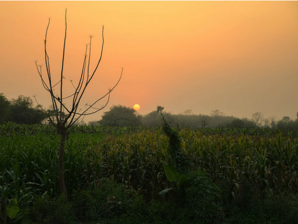 কোন সময়ে যাবেন