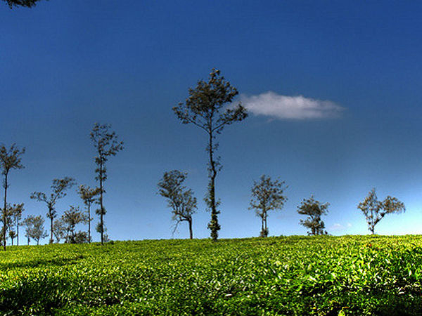 কুর্গ