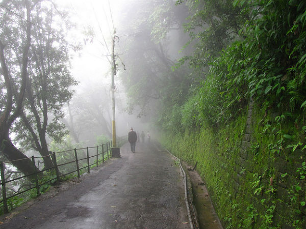কীভাবে যাবেন লেপচাজগত?