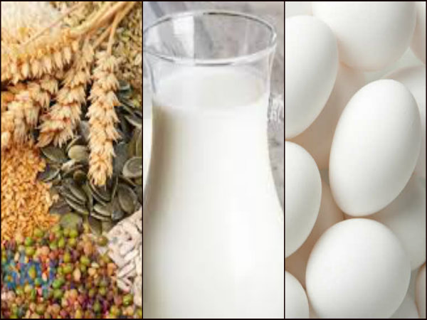 জিএসটি বসছেনা যে সমস্ত জিনিসে