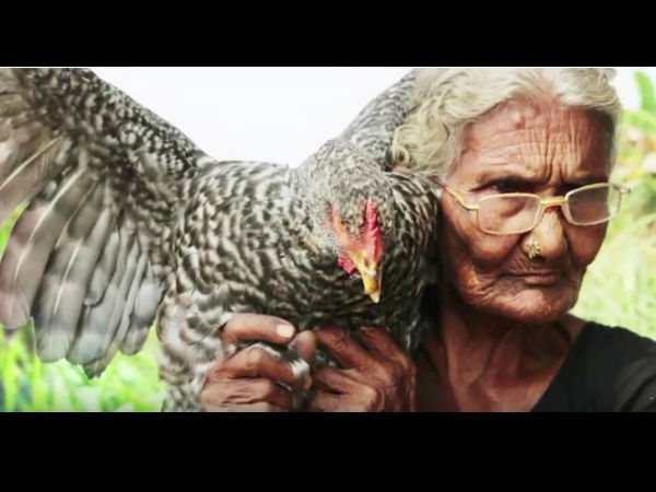 সোস্যাল মিডিয়ায় ভাইরাল ১০৬ বছরের মাস্তানা আম্মা, কেন জানেন? সোস্যাল মিডিয়ায় ভাইরাল ১০৬ বছরের মাস্তানা আম্মা, কেন জানেন?