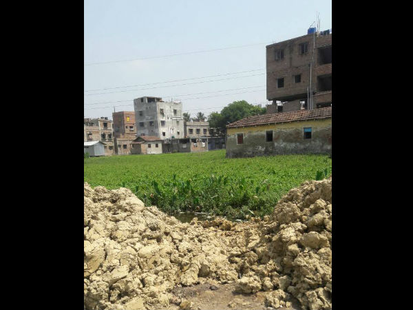 পঞ্চায়েতের টাকায় পুকুর ভরাট করে নিজের বাড়ির রাস্তা তৈরির অভিযোগ প্রধানের বিরুদ্ধে পঞ্চায়েতের টাকায় পুকুর ভরাট করে নিজের বাড়ির রাস্তা তৈরির অভিযোগ প্রধানের বিরুদ্ধে