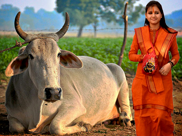 গোমাংস খেলে ফাঁসিতে! কে এমন দাবি তুললেন গোমাংস খেলে ফাঁসিতে! কে এমন দাবি তুললেন