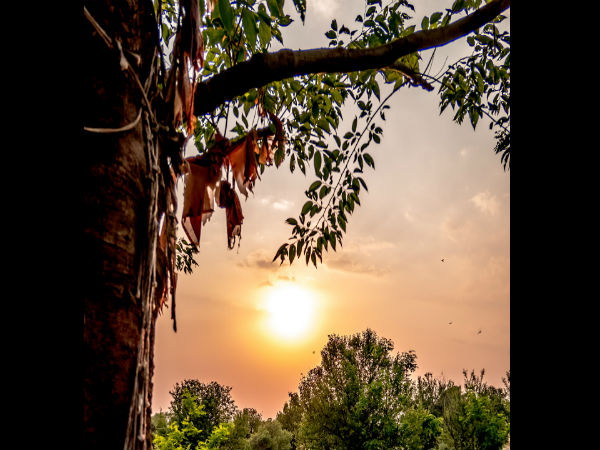 বির