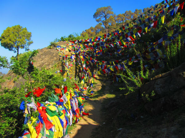 রেওয়ালসার