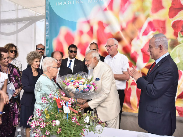 এই ইজরায়েলি ফুলের নাম 'মোদী', কেন জানেন এই ইজরায়েলি ফুলের নাম 'মোদী', কেন জানেন