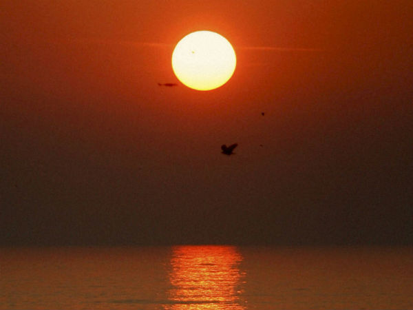 সোশ্যাল মিডিয়ায় কী দেখা যাবে ?