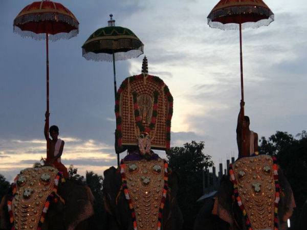 হাতি নিয়ে শোভাযাত্রা