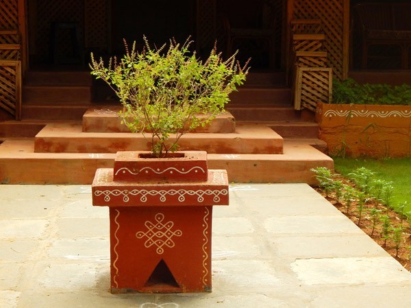 তুলসী ও হিন্দু পূজারীতি