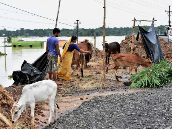 বাড়িতে বইছে নদীর স্রোত, জলবন্দি দিনাজপুরবাসী বাড়িতে বইছে নদীর স্রোত, জলবন্দি দিনাজপুরবাসী