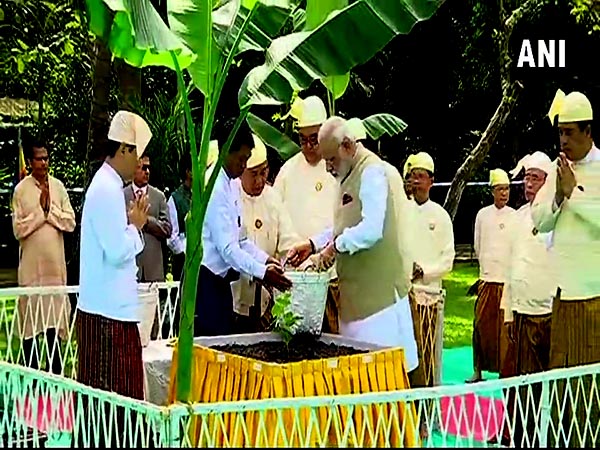বোধি গাছ রোপণ