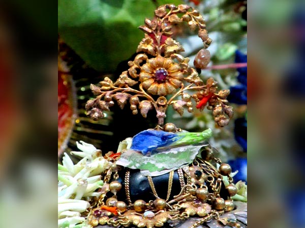 পূজিত হন গৃহদেবতাও
