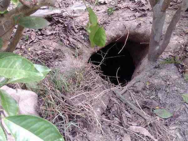 পাক সীমান্তে গুপ্ত সুরঙ্গের খোঁজ, জম্মুতে চাঞ্চল্য পাক সীমান্তে গুপ্ত সুরঙ্গের খোঁজ, জম্মুতে চাঞ্চল্য