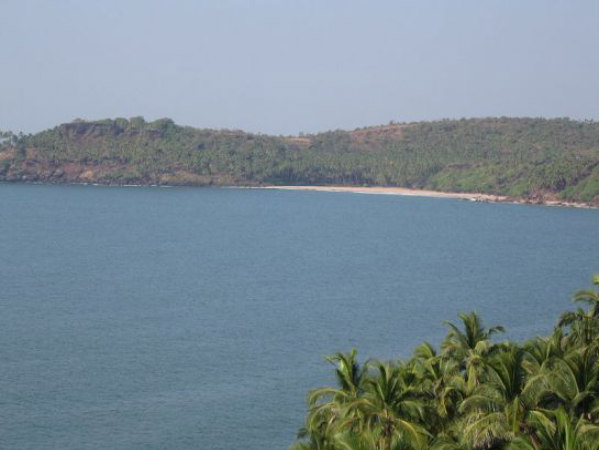 গোয়া