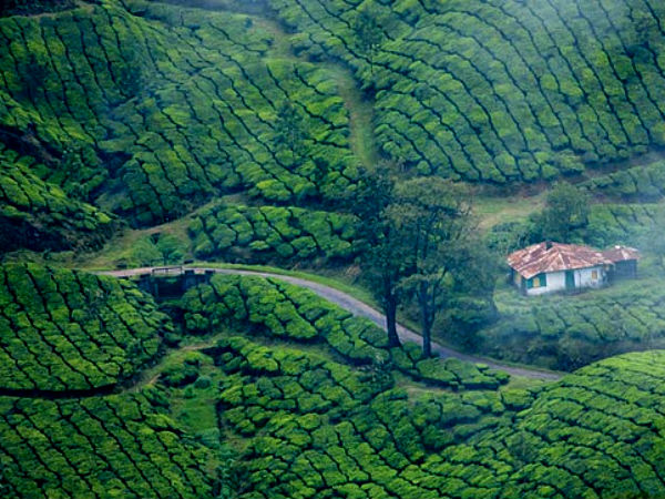মুন্নার
