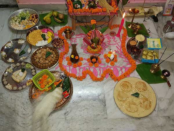 ভোগ-প্রসাদ