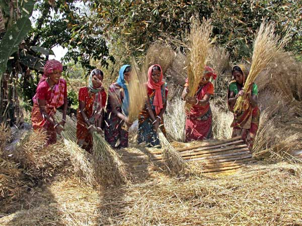তামিলনাড়ুর কায়দাতেই এবার গুজরাটের মহিলা ভোটারদের বুথমুখি করতে মহিলা স্ব-নির্ভর গোষ্ঠীগুলিকে কাজে লাগাতে চাইছে বিজেপি। সখীমণ্ডল নামে প্রায় আড়াই লক্ষ স্ব-নির্ভর গোষ্ঠীকে গত কয়েকবছরে সাহায্য করে এসেছে বিজেপি। দুগ্ধ উৎপাদন, হস্তশিল্প, সমবায় সহ নানা ক্ষেত্রে বিস্তৃত এই স্বনির্ভর গোষ্ঠীগুলির কাজ। ফলে সখীমণ্ডলকে কাজে লাগাতে পারলে মহিলা ভোটারদের একটা বড় অংশই যে তারা নিজেদের দিতে টানতে পারবে, তা বিলক্ষণ জানে গুজরাটের শাসকদল। সমীক্ষা অনুযায়ী, গুজরাটজুড়ে মোট আড়াই লক্ষ সখীমণ্ডলের সঙ্গে যুক্ত রয়েছেন প্রায় ২৬ লক্ষ মহিলা। এই স্বনির্ভর গোষ্ঠীগুলির বার্ষিক আয় ৩৬০ কোটি টাকা। তার ওপর রাজ্য সরকার তাদের যে সুবিধে দিচ্ছে, তাতেও খুশি রাজ্যের মহিলারা। ২০১০ সালে মিশন মঙ্গলম যোজনায় এই স্বনির্ভর গোষ্ঠীগুলির কাজের সুযোগ যেমন বেড়েছে, তেমনই বেড়েছে আয়ও। আগে স্বনির্ভর গোষ্ঠীগুলি সীমিত ছিল শুধুমাত্র ক্ষুদ্র সঞ্চয় প্রকল্প নিয়েই। কিন্তু বর্তমানে রাজ্য সরকারের সহায়তায় সমবায় ব্যাঙ্কগুলি ঋণের পরিমাণ আরও বাড়িয়ে তোলায় কেটারিং, হস্তশিল্প, ঘরে তৈরি সস্তার স্যানিটারি ন্যাপকিন সহ আরও অনেক ক্ষেত্রেই এই স্বনির্ভর গোষ্ঠীর মহিলারা কাজের সুযোগ পাচ্ছেন। তামিলনাড়ুতে এই প্রচলন আগেই শুরু হয়েছে। সেখানে মহিলা ভোটারদের টানতে ভোটের আগে নিত্যনতুন প্রতিশ্রুতি দেয় ডিএমকে, এডিএমকে। এবার সেই কায়দাই নিয়েছে বিজেপিও। গুজরাটে এমনিতেই শাসকদলের যথেষ্টই ক্ষমতাশালী। তার ওপর স্বনির্ভর গোষ্ঠীর ২৬ লক্ষ মহিলা ভোট যদি তারা টানতে পারে তাহলে তো কথাই নেই। এখন গুজরাটে এই স্বনির্ভর গোষ্ঠীগুলিকে বিজেপি কতটা লাগাতে পারে সেটাই এখন দেখার। তামিলনাড়ুর কায়দাতেই এবার গুজরাটের মহিলা ভোটারদের বুথমুখি করতে মহিলা স্ব-নির্ভর গোষ্ঠীগুলিকে কাজে লাগাতে চাইছে বিজেপি। সখীমণ্ডল নামে প্রায় আড়াই লক্ষ স্ব-নির্ভর গোষ্ঠীকে গত কয়েকবছরে সাহায্য করে এসেছে বিজেপি। দুগ্ধ উৎপাদন, হস্তশিল্প, সমবায় সহ নানা ক্ষেত্রে বিস্তৃত এই স্বনির্ভর গোষ্ঠীগুলির কাজ। ফলে সখীমণ্ডলকে কাজে লাগাতে পারলে মহিলা ভোটারদের একটা বড় অংশই যে তারা নিজেদের দিতে টানতে পারবে, তা বিলক্ষণ জানে গুজরাটের শাসকদল। সমীক্ষা অনুযায়ী, গুজরাটজুড়ে মোট আড়াই লক্ষ সখীমণ্ডলের সঙ্গে যুক্ত রয়েছেন প্রায় ২৬ লক্ষ মহিলা। এই স্বনির্ভর গোষ্ঠীগুলির বার্ষিক আয় ৩৬০ কোটি টাকা। তার ওপর রাজ্য সরকার তাদের যে সুবিধে দিচ্ছে, তাতেও খুশি রাজ্যের মহিলারা। ২০১০ সালে মিশন মঙ্গলম যোজনায় এই স্বনির্ভর গোষ্ঠীগুলির কাজের সুযোগ যেমন বেড়েছে, তেমনই বেড়েছে আয়ও। আগে স্বনির্ভর গোষ্ঠীগুলি সীমিত ছিল শুধুমাত্র ক্ষুদ্র সঞ্চয় প্রকল্প নিয়েই। কিন্তু বর্তমানে রাজ্য সরকারের সহায়তায় সমবায় ব্যাঙ্কগুলি ঋণের পরিমাণ আরও বাড়িয়ে তোলায় কেটারিং, হস্তশিল্প, ঘরে তৈরি সস্তার স্যানিটারি ন্যাপকিন সহ আরও অনেক ক্ষেত্রেই এই স্বনির্ভর গোষ্ঠীর মহিলারা কাজের সুযোগ পাচ্ছেন। তামিলনাড়ুতে এই প্রচলন আগেই শুরু হয়েছে। সেখানে মহিলা ভোটারদের টানতে ভোটের আগে নিত্যনতুন প্রতিশ্রুতি দেয় ডিএমকে, এডিএমকে। এবার সেই কায়দাই নিয়েছে বিজেপিও। গুজরাটে এমনিতেই শাসকদলের যথেষ্টই ক্ষমতাশালী। তার ওপর স্বনির্ভর গোষ্ঠীর ২৬ লক্ষ মহিলা ভোট যদি তারা টানতে পারে তাহলে তো কথাই নেই। এখন গুজরাটে এই স্বনির্ভর গোষ্ঠীগুলিকে বিজেপি কতটা লাগাতে পারে সেটাই এখন দেখার।