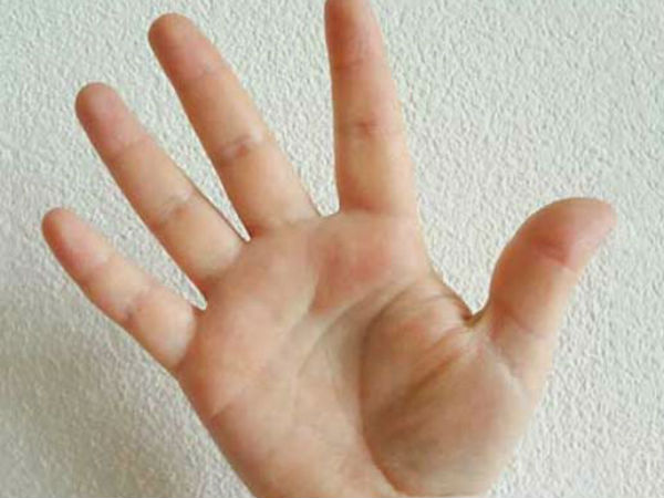 তালুতে একাধিক লাইনের সমাহার