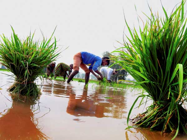 হু-এর নির্দেশ মানার সুপারিশ