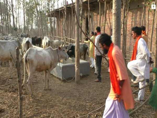 মুখ্য অতিথি মুখ্যমন্ত্রী